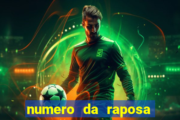 numero da raposa jogo do bicho